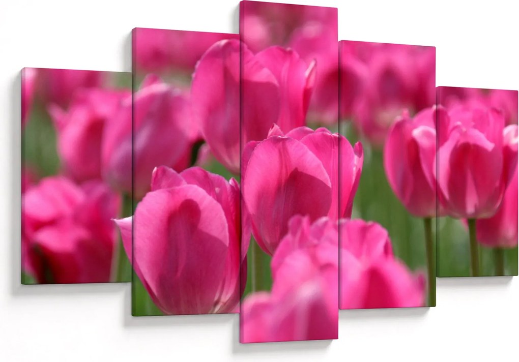 Obraz - Ružové tulipány (150x105 cm)