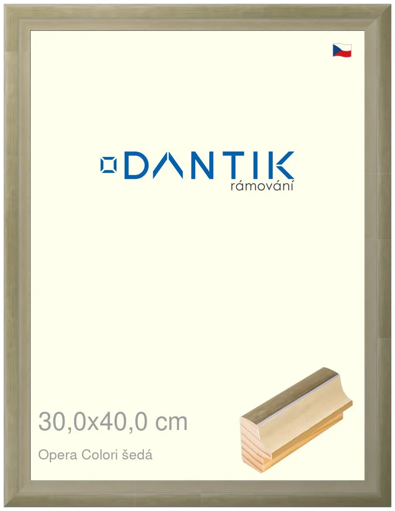 DANTIK rám na obraz 30x40 | OPERA Colori šedá (Plexi Čiré)