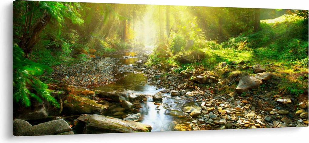 Obraz rieky v zelenom lese (120x50 cm)