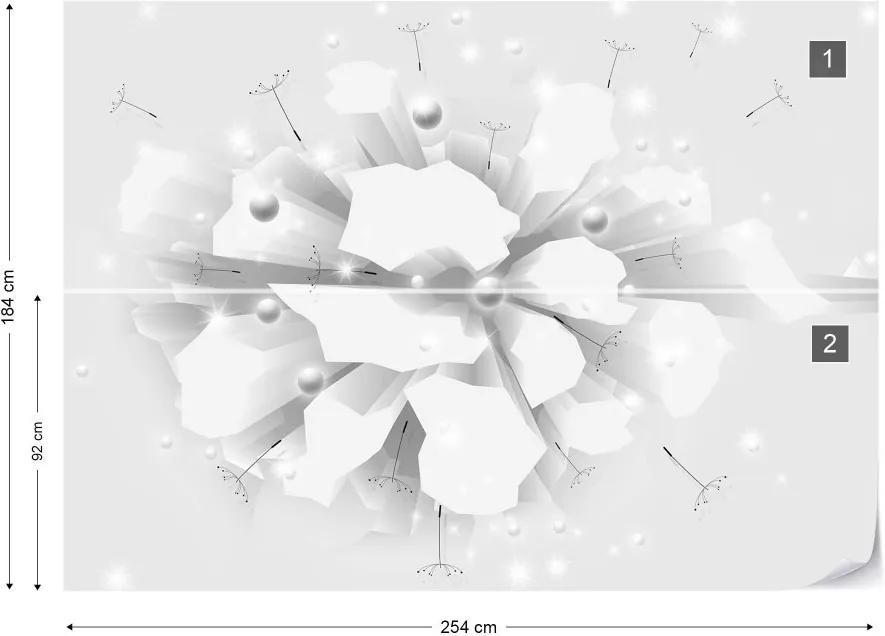 Fototapeta GLIX - 3D Blast White And Grey + lepidlo ZADARMO Vliesová tapeta  - 254x184 cm
