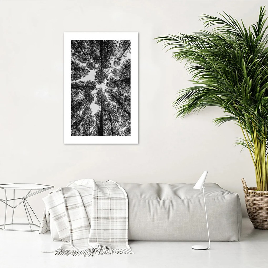 Gario Plagát Koruny stromov Farba rámu: Bez rámu, Rozmery: 70 x 100 cm