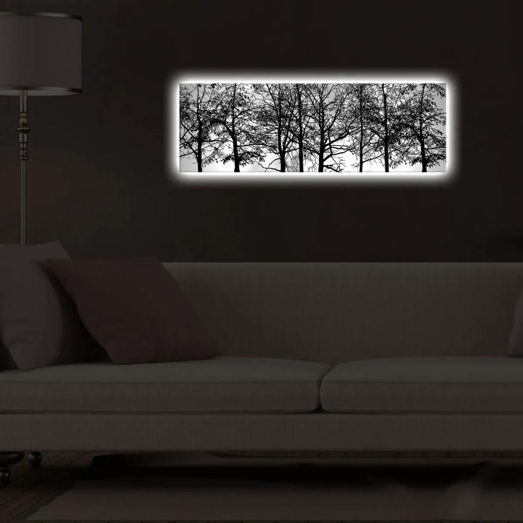 Obraz s LED osvetlením VETVY STROMOV 72 30 x 90 cm