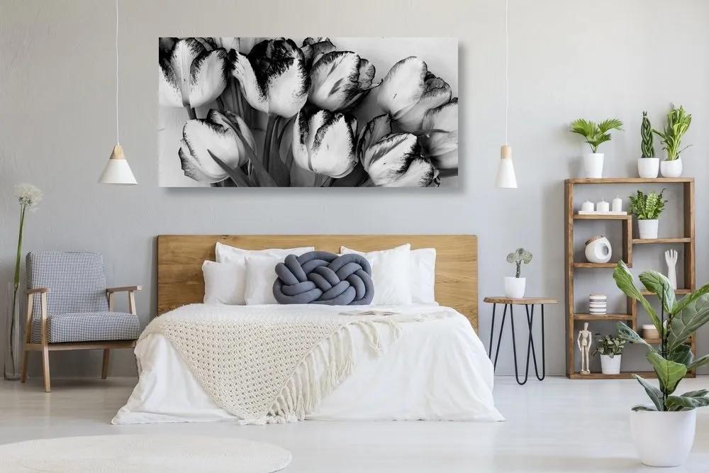 Obraz tulipány v jarnom nádychu v čiernobielom prevedení - 100x50
