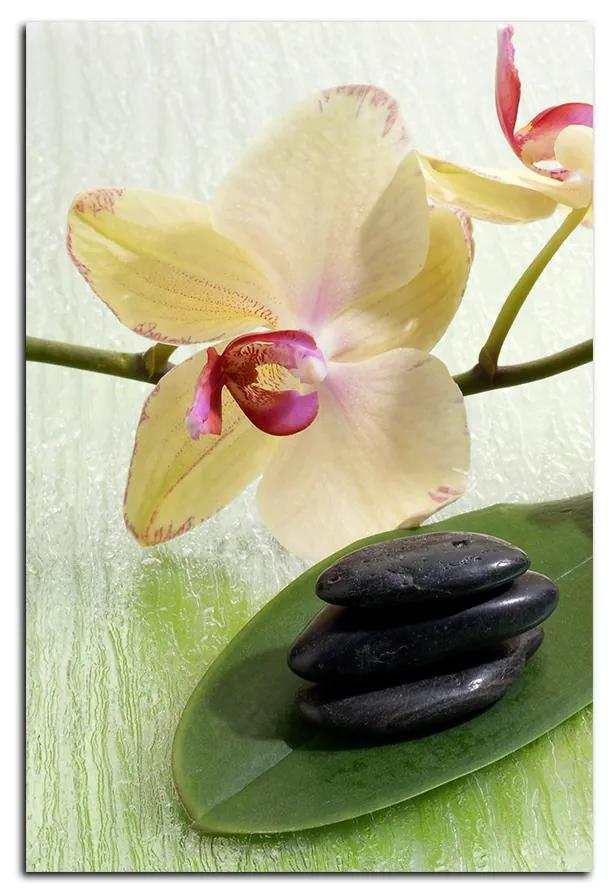 Obraz na plátne - Kvety orchidei - obdĺžnik 762A (75x50 cm)