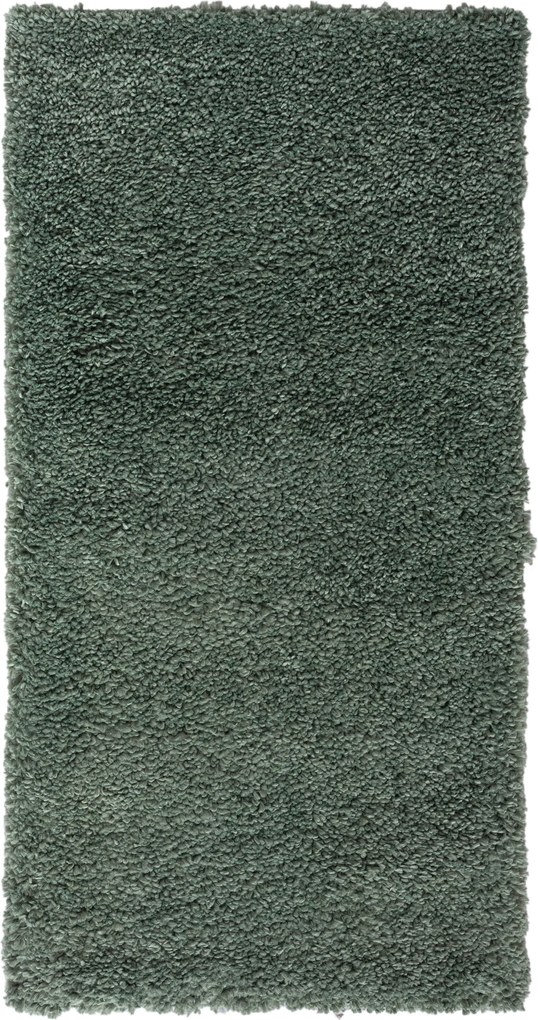 My Flair, Kusový koberec My Shaggy hellgrün, 120x180, zelená, chodba / predsieň