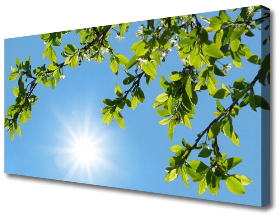 Obraz na plátne Slnko príroda 140x70 cm