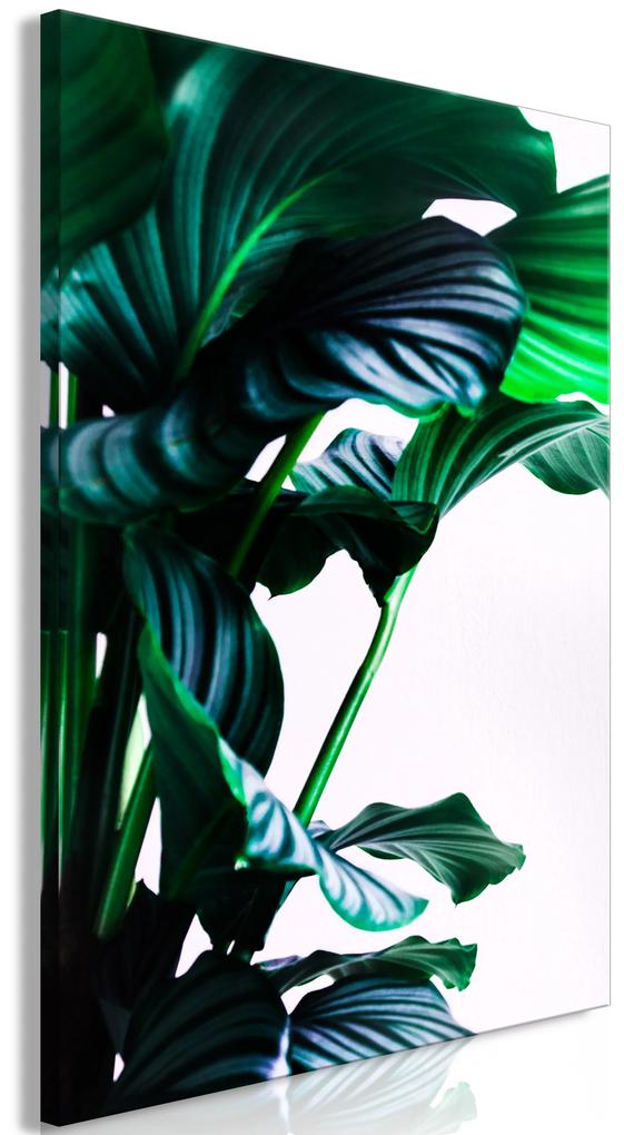 Artgeist Obraz - Springy Leaves (1 Part) Vertical Veľkosť: 40x60, Verzia: Premium Print