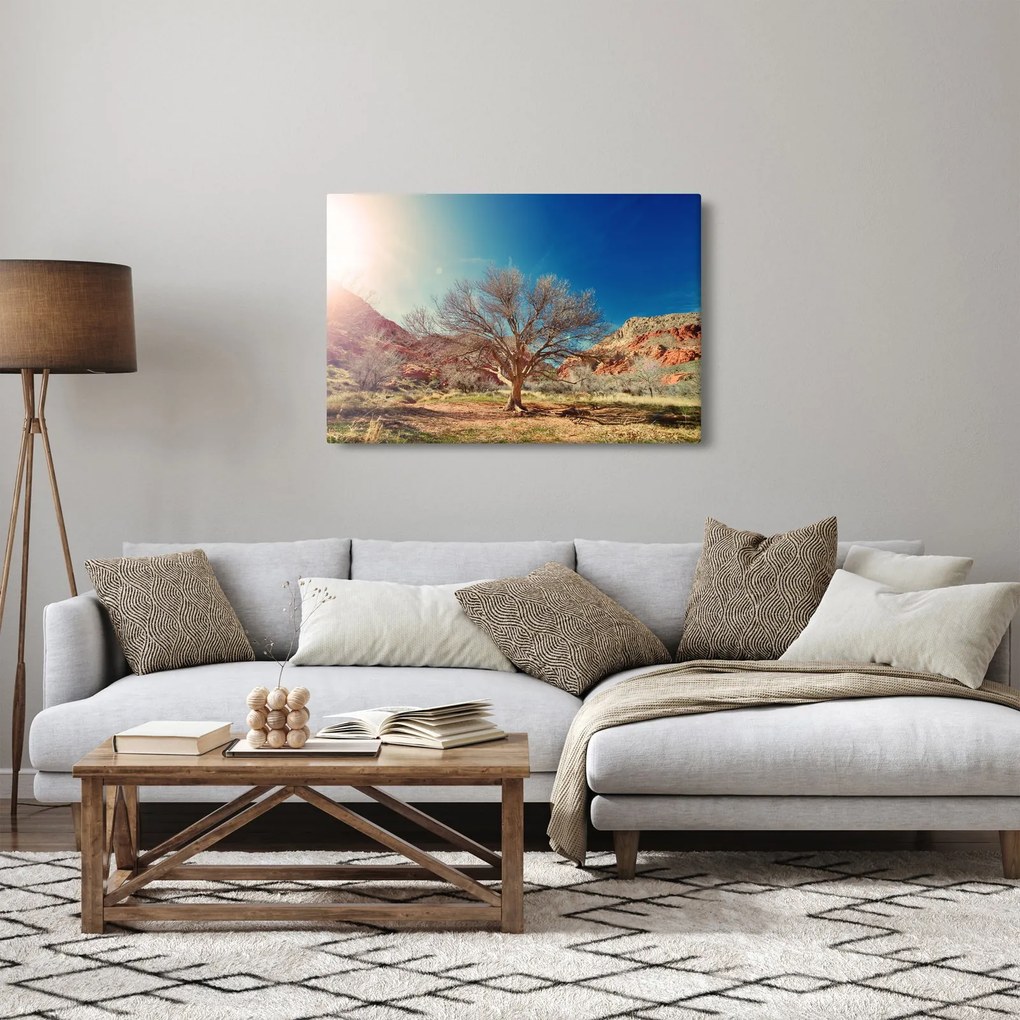 Obraz stromu v púšti (90x60 cm)