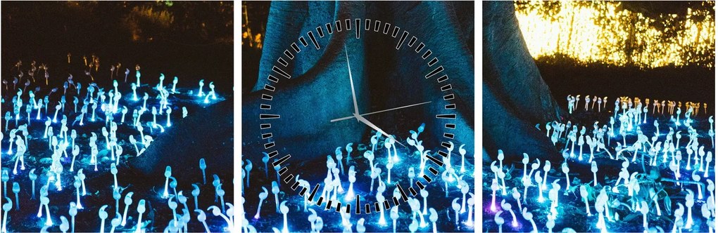 Obraz - Magický strom (s hodinami) (90x30 cm)