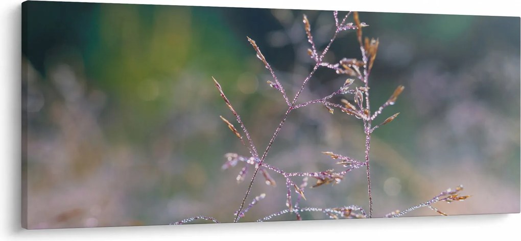 Obraz - Detail traviny (120x50 cm)