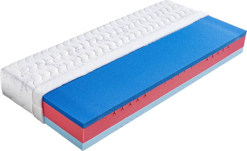 Drevočal Sendvičový matrac Bali + zadarmo 1× vankúš Lukáš Veľkosť: 200 x 180 x 23, Poťah: Úplet