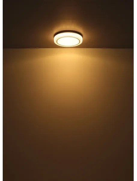 Globo 41265 - LED Stropné svietidlo LIAMI LED/24W/230V pr. 40 cm 3000K biela