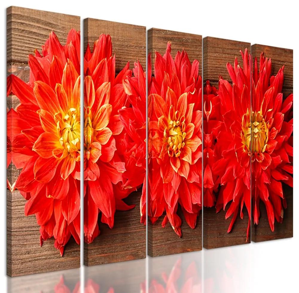 5-dielny obraz kvety nežnej dálie na drevenom pozadí