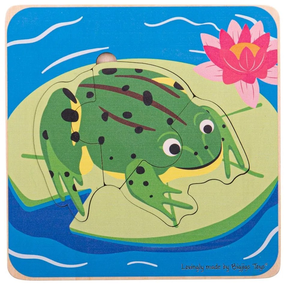 Bigjigs Toys Vkladacie puzzle životné cykly žaby