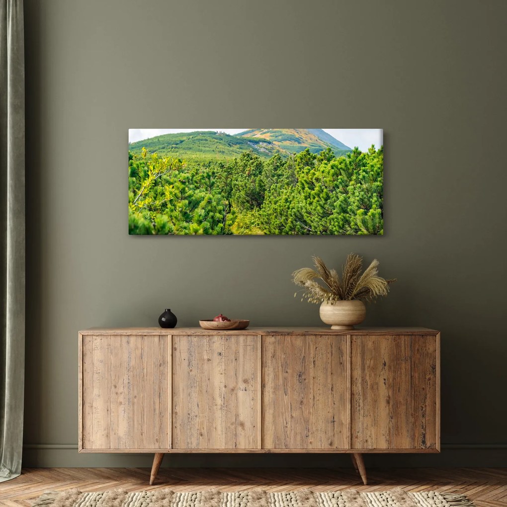Obraz - Babi Hora, Poľsko (120x50 cm)