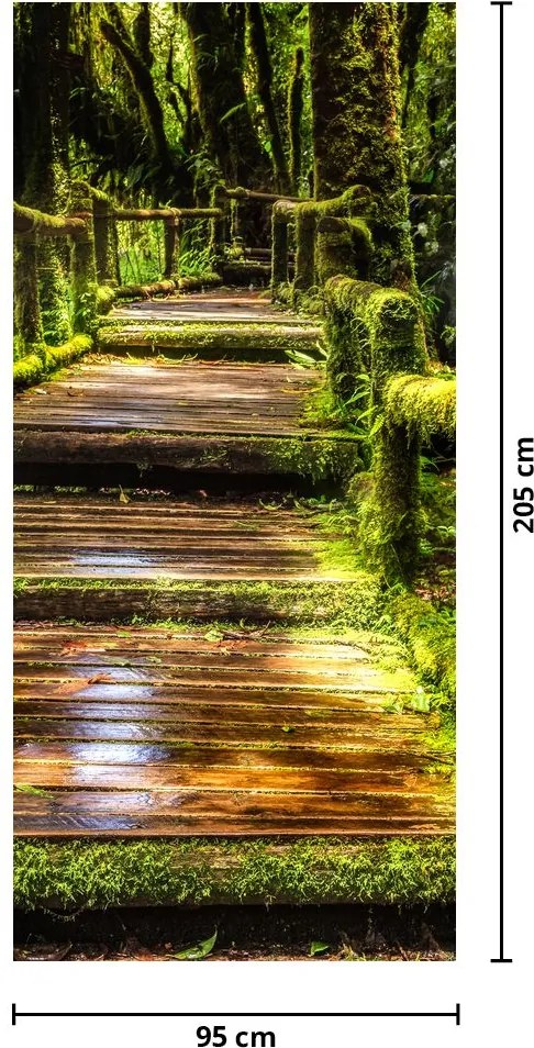 Fototapeta na dvere - Schody v dažďovom pralese (95x205cm)