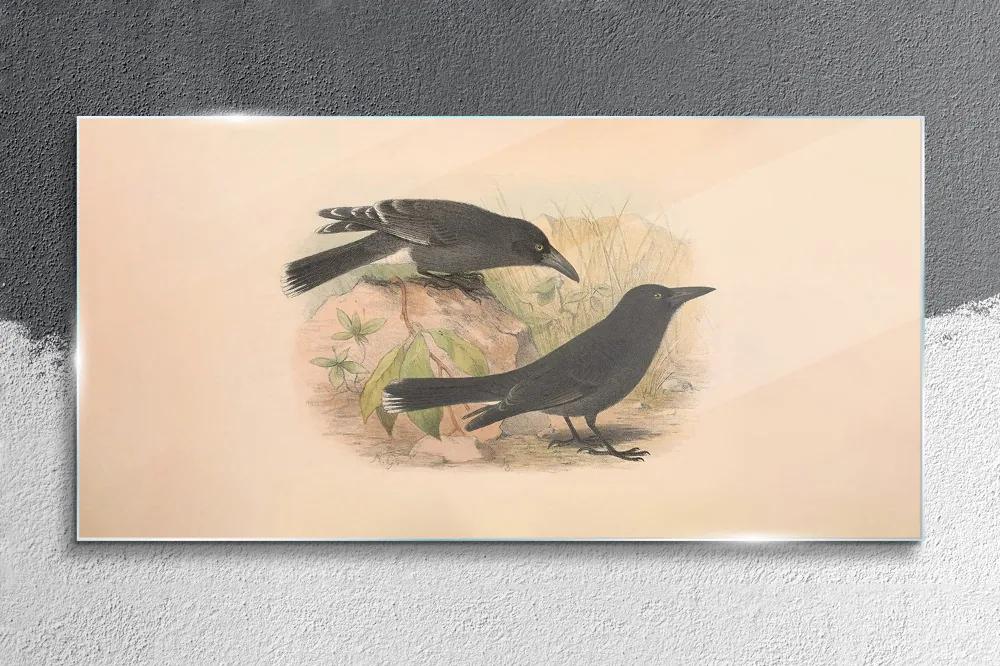 Skleneny obraz Vtáky zvieratá kreslenie