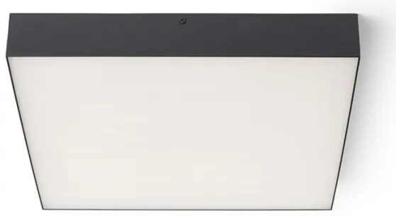 RED - Design Rendl - R13490 - LED Stropné svietidlo LARISA LED/50W/230V čierna