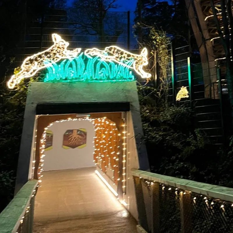 DECOLED LED hadice 100 m, teple bílá, IP44 Easy Fix