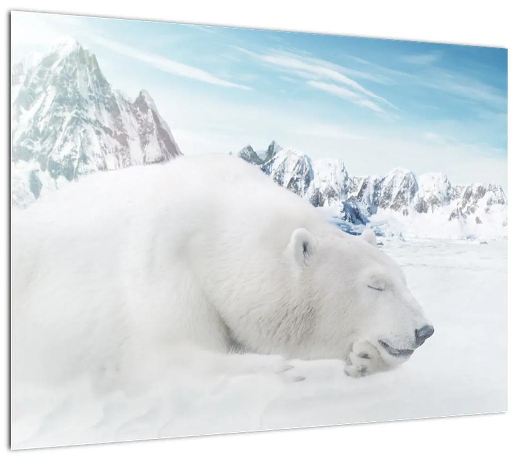 Sklenený obraz - Ľadový medveď (70x50 cm)