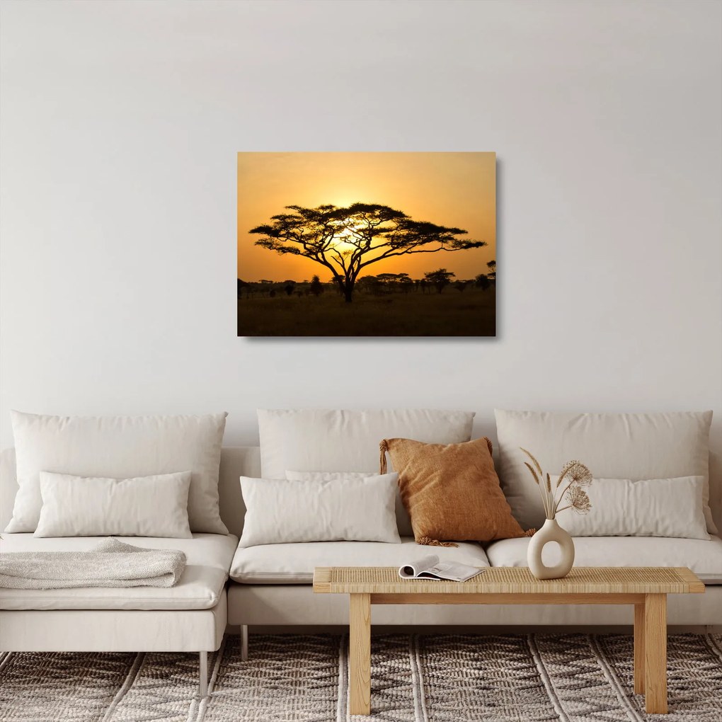 Sklenený obraz - Africká savana (70x50 cm)