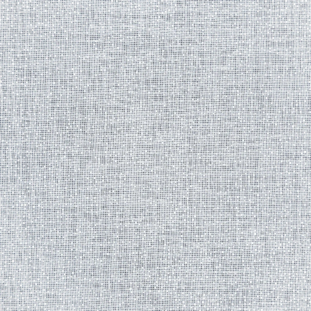 ZÁCLONA NA KRÚŽKOCH LENA 350X250 CM BIELA