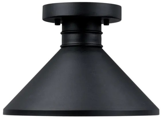 Westinghouse 61238 - Vonkajšie stropné svietidlo WALTER 1xE27/60W/230V IP44