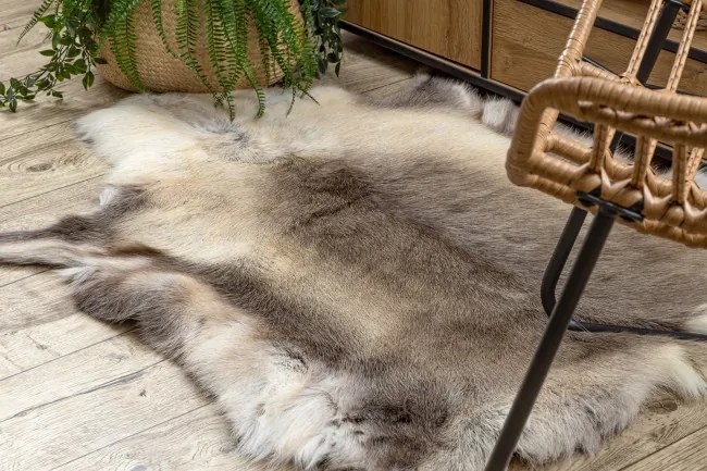 Koberec RENIFER POK012 sivý / béžový