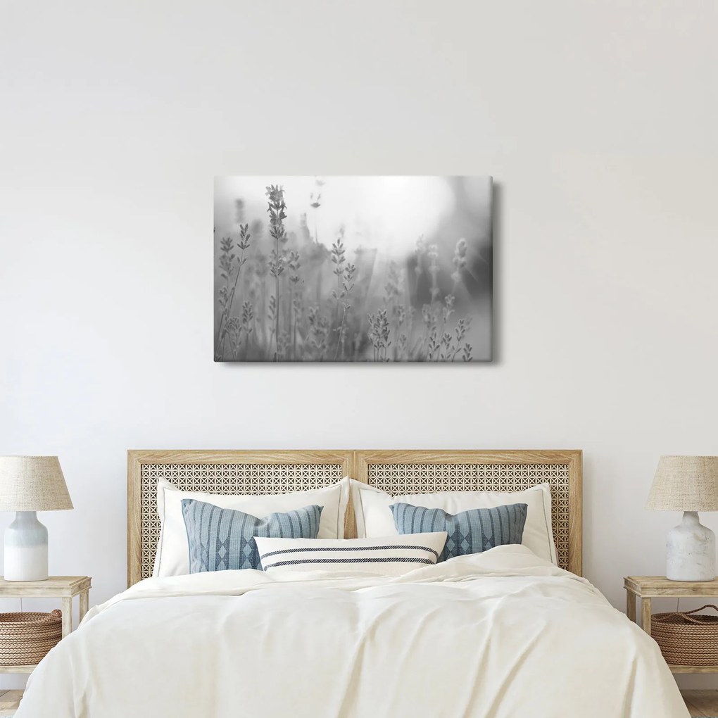 Obraz - Levanduľa (90x60 cm)