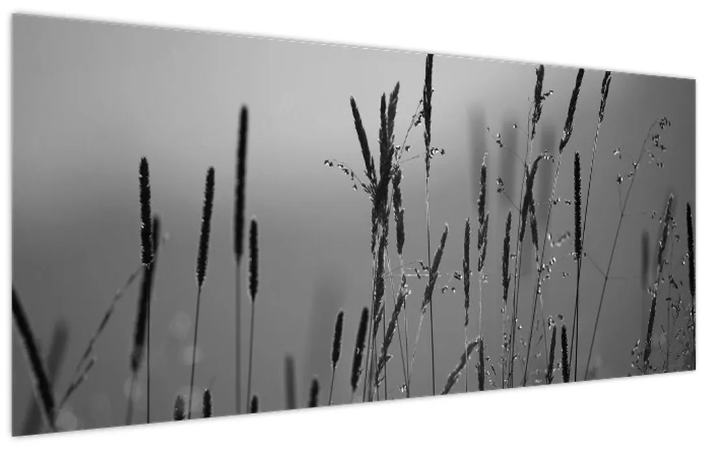 Obraz - Steblá trávy (120x50 cm)