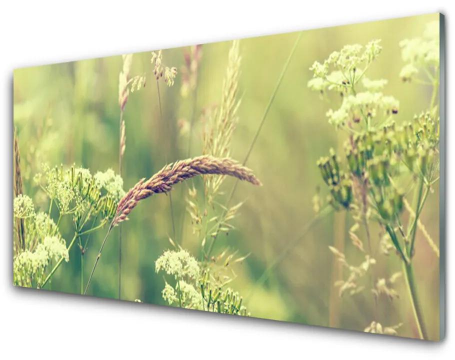Skleneny obraz Divoké rastliny príroda 100x50 cm
