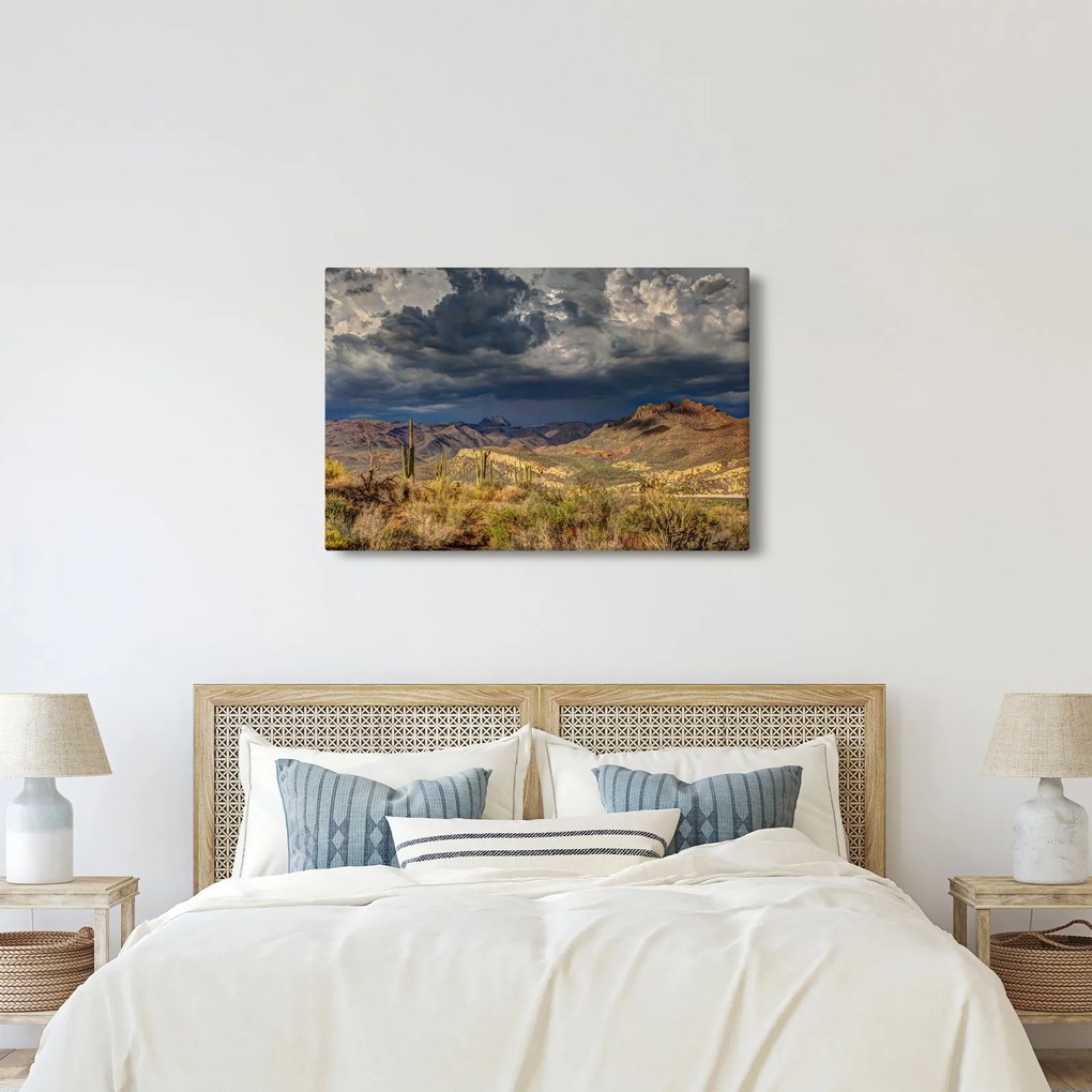 Obraz - kaktusy v prírode (90x60 cm)