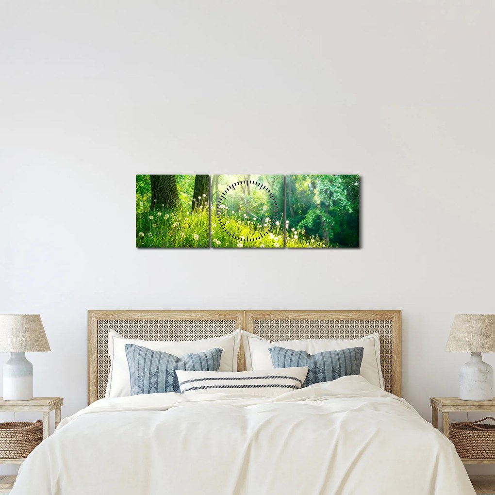 Obraz - Magická lúka plná púpav (s hodinami) (90x30 cm)