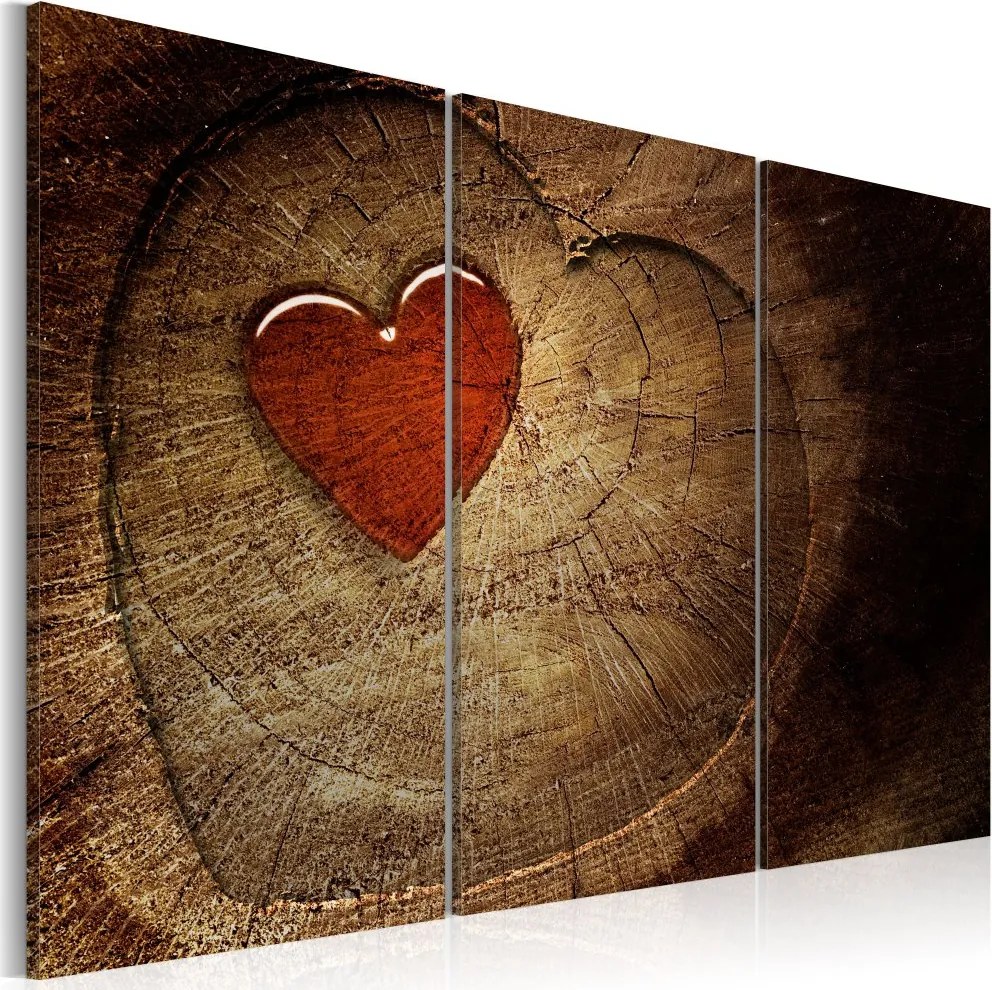 Obraz na plátne Bimago - Old love does not rust - 3 pieces 60x40 cm