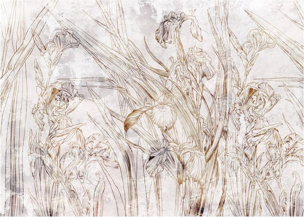 Sklenený obraz - Kosatce (70x50 cm)