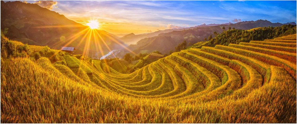 Obraz - Ryžové terasy vo Vietname (120x50 cm)