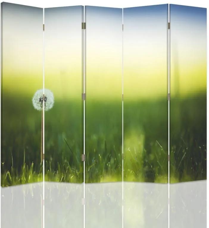 CARO Paraván - Dandelion In Green Grass | päťdielny | obojstranný 180x150 cm