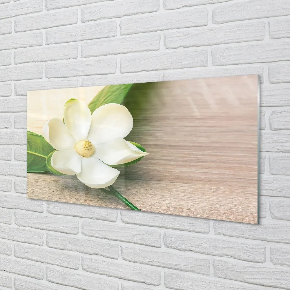 Sklenený obraz biela magnólia 120x60 cm