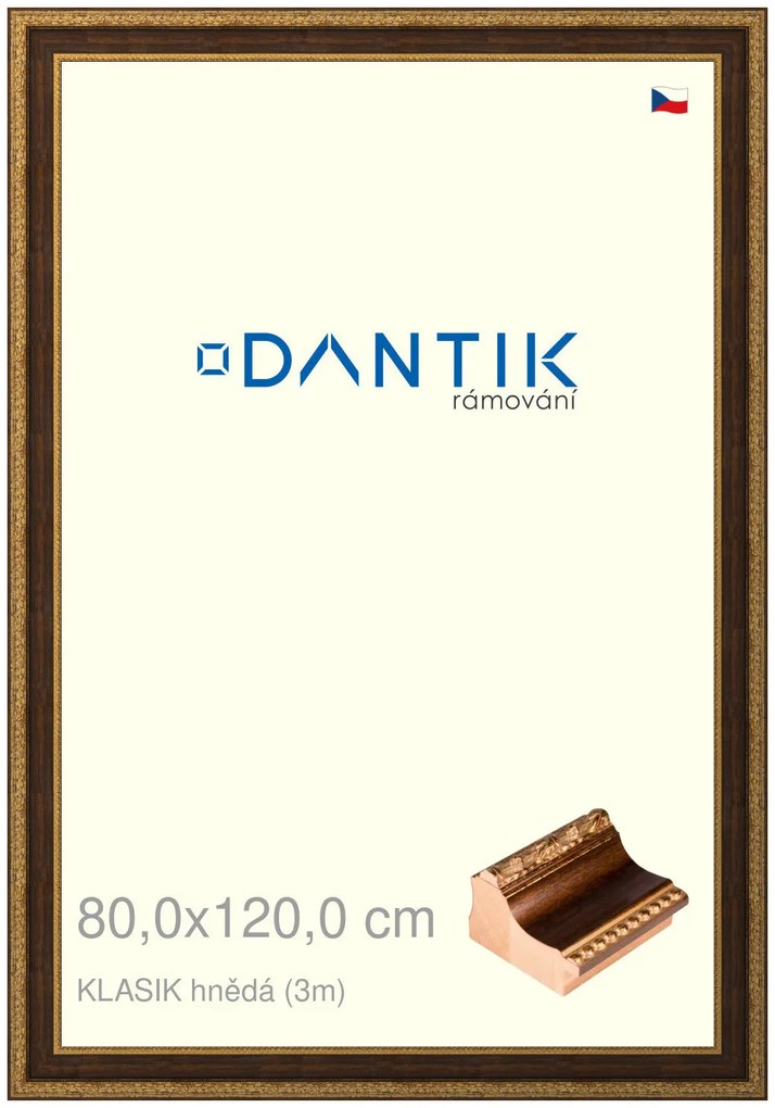 DANTIK rám na obraz 80x120 | KLASIK hnědá (Plexi Čiré)