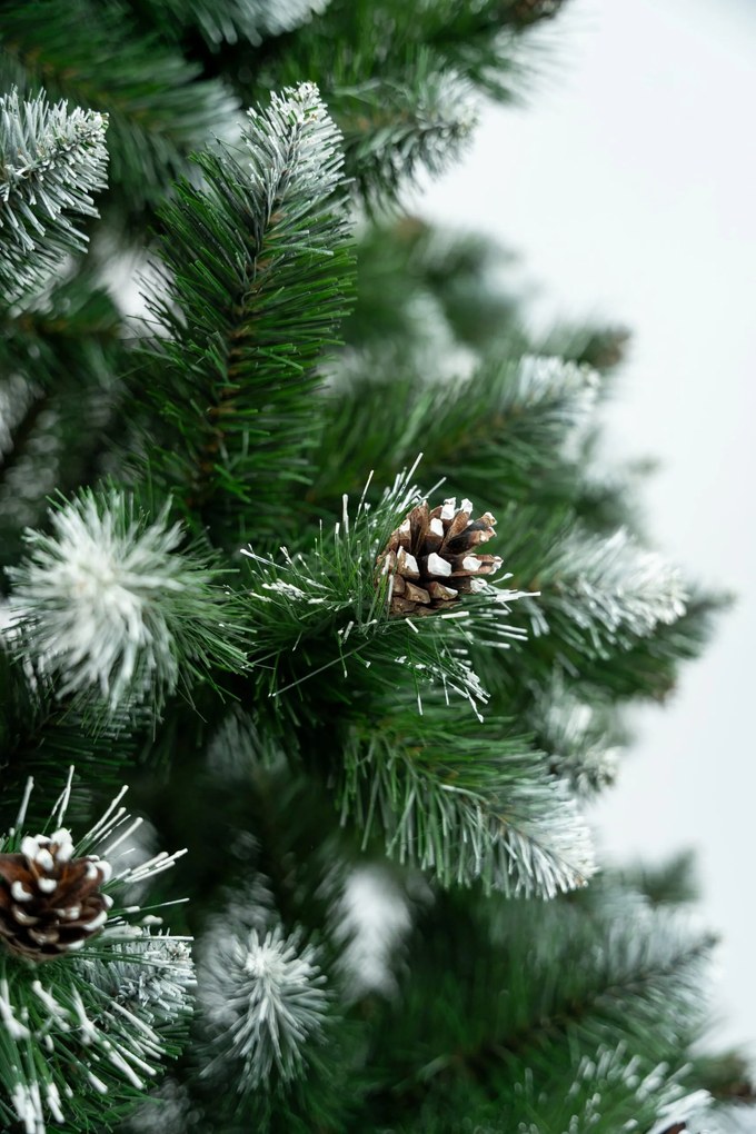 Limpol Vianočný stromček Borovica Verona biela Výška stromčeka: 150 cm