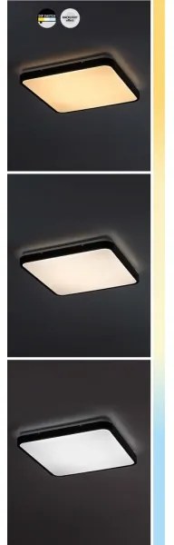 Rabalux 71432 - LED Kúpeľňové stropné svietidlo ALENZO LED/24W/230V IP44 čierna