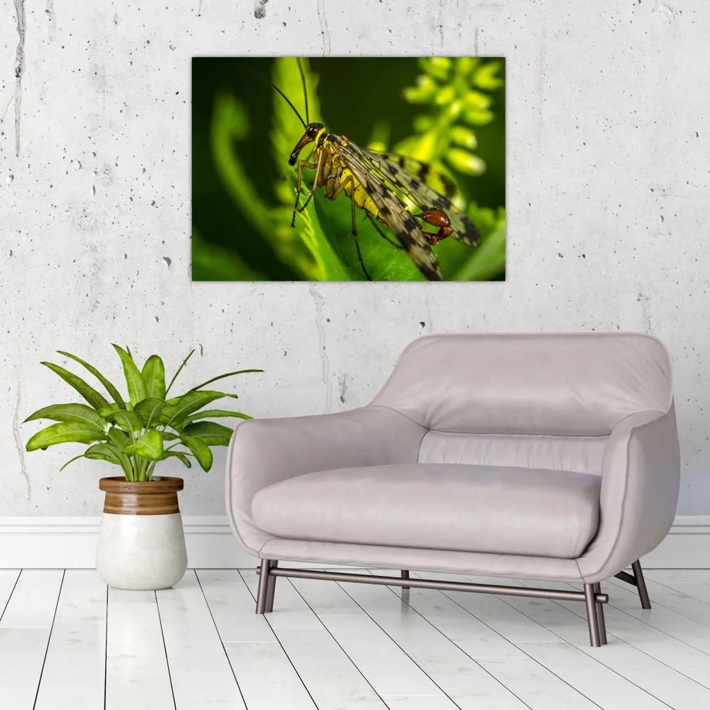 Sklenený obraz hmyzu (70x50 cm)