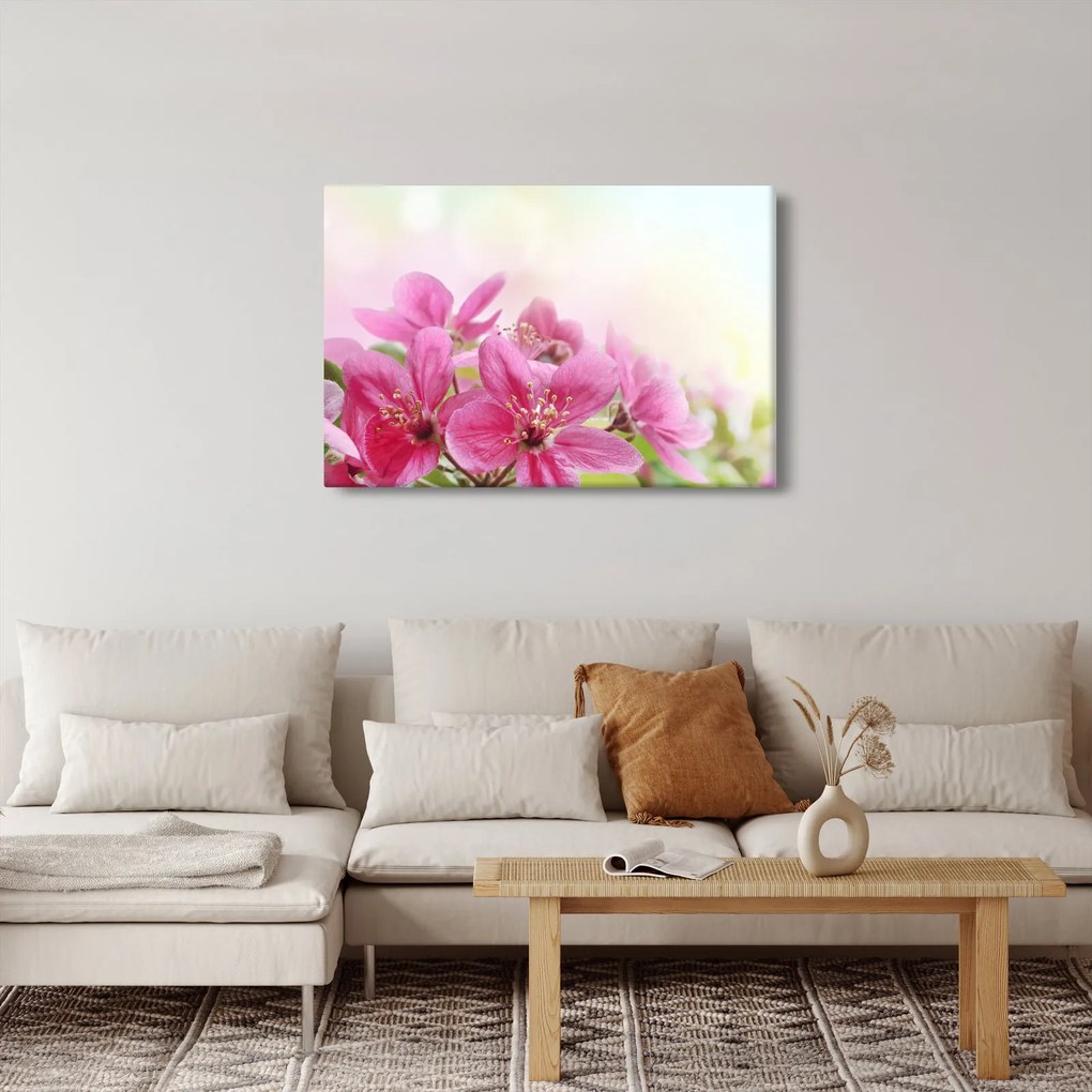Obraz - Ružové kvety (90x60 cm)