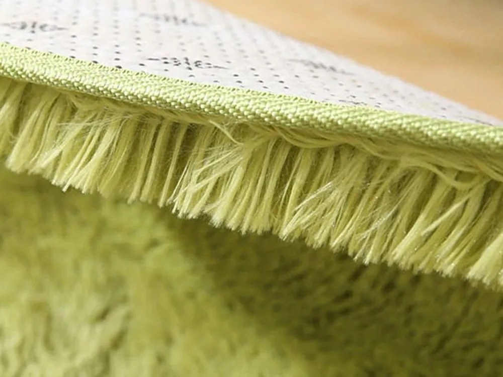 TZ Zelený obdĺžnikový shaggy koberec Lana Rozmer: 80x150