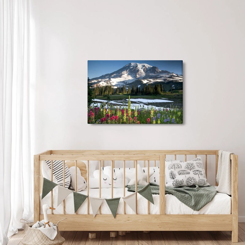 Obraz - Mount Rainier (90x60 cm)