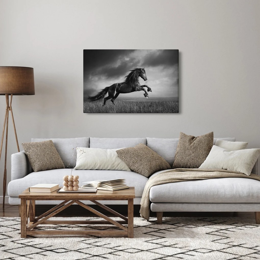 Obraz - Kôň čiernobiely (90x60 cm)