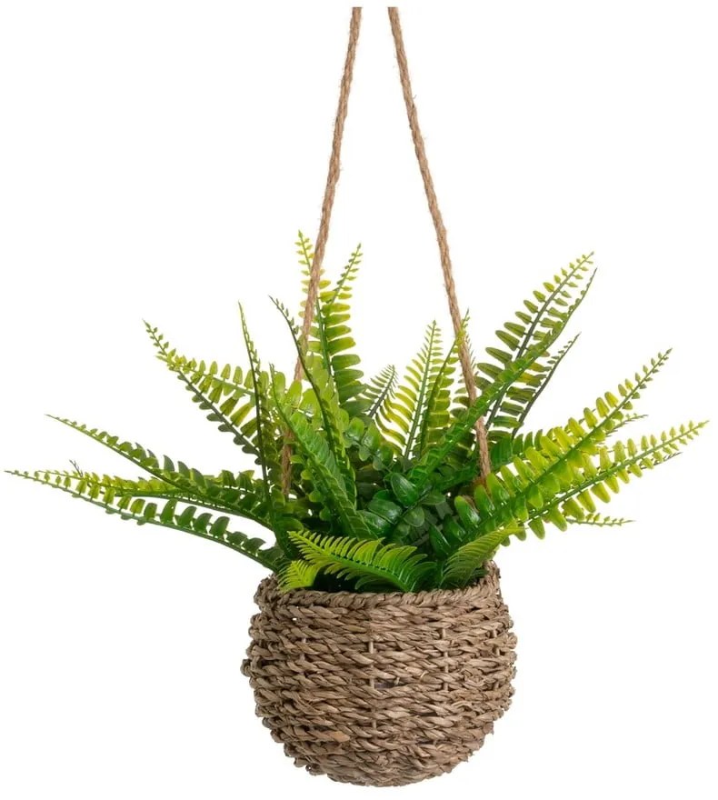 Umelá papraď (výška 25 cm) – Casa Selección