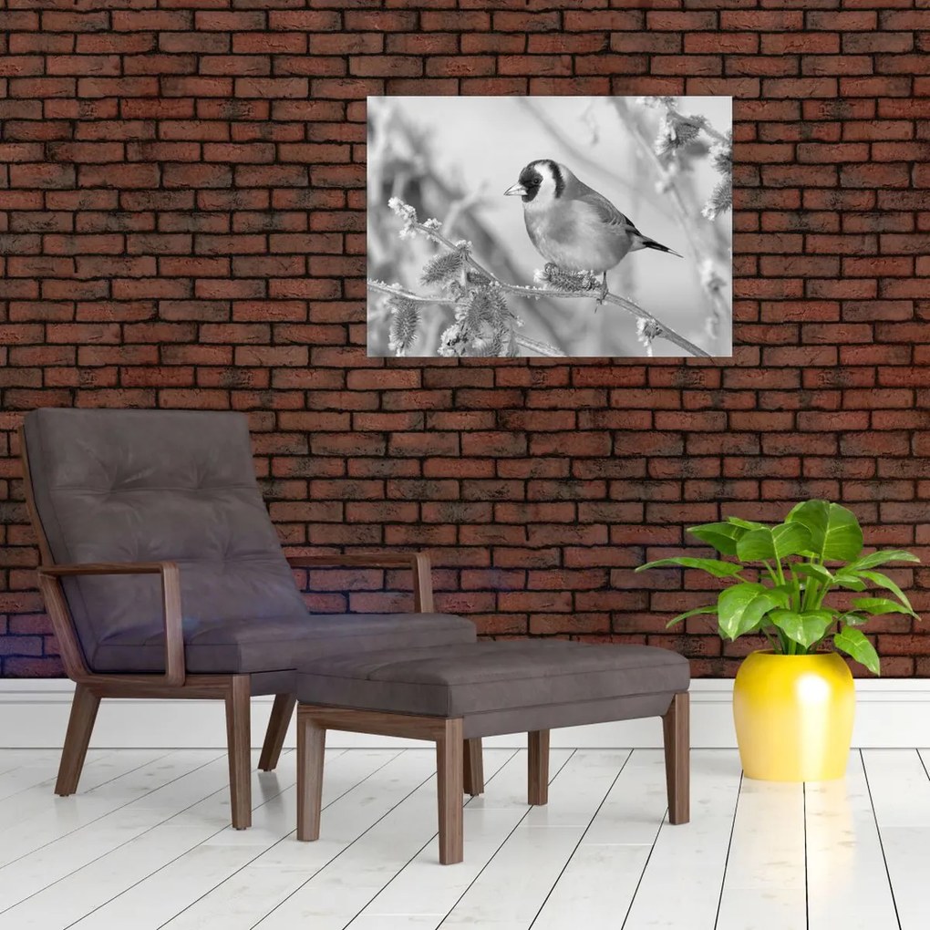 Obraz - Vtáčik v zime (70x50 cm)