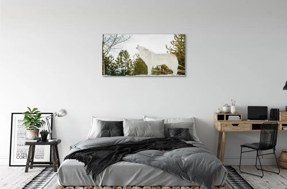 Obraz na plátne Vlk v zime lese 125x50 cm