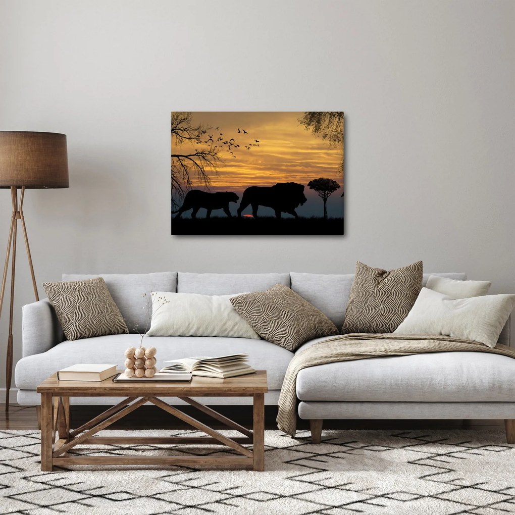 Obraz Safari (70x50 cm)